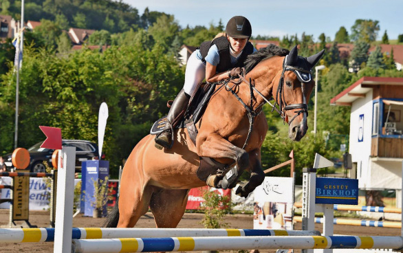 Zwischen Sattel und Reagenzglas